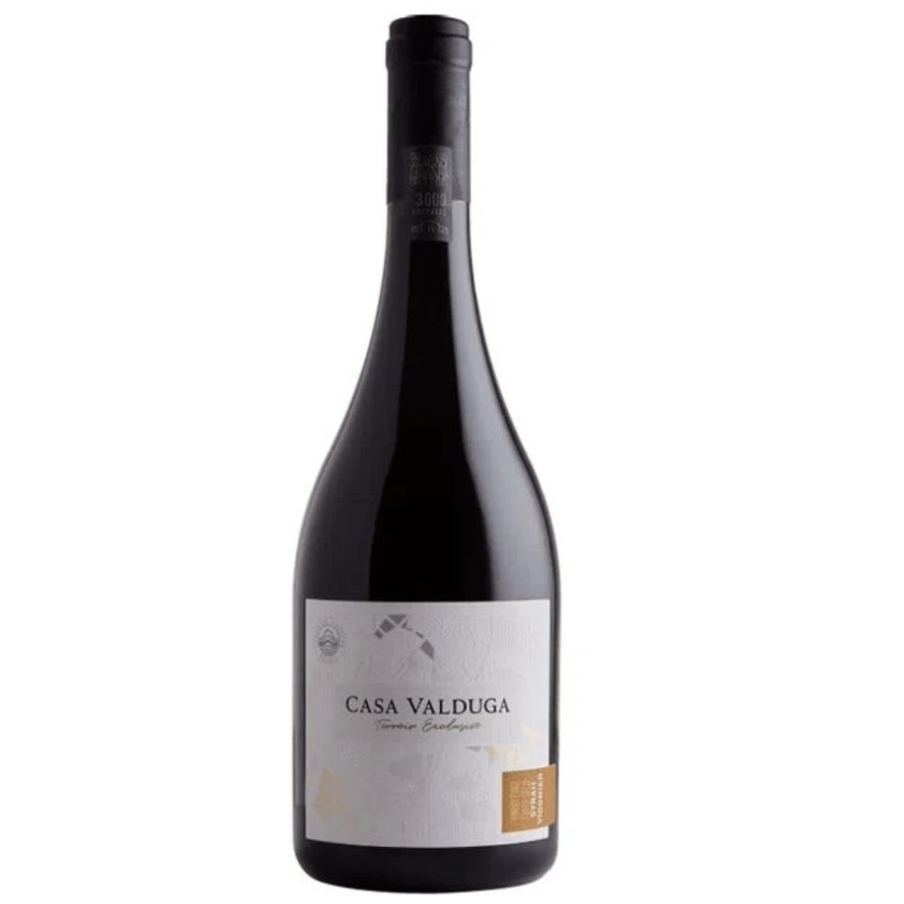 Vinho Casa Valduga Terroir Exclusivo Syrah | Viogner 750 ml